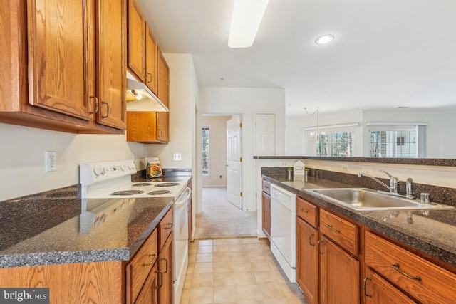 kitchen with brown cabinets, light carpet, a sink, under cabinet range hood, and white appliances