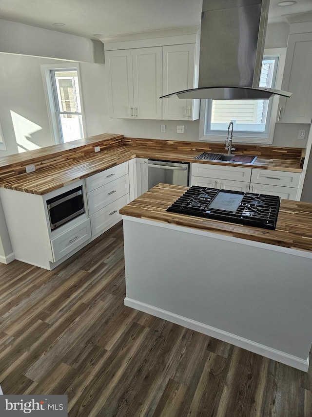 kitchen with appliances with stainless steel finishes, a sink, wooden counters, and island range hood