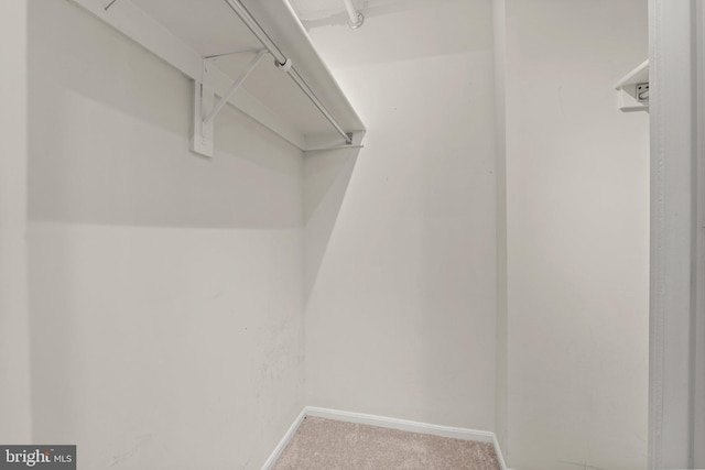 spacious closet with carpet flooring