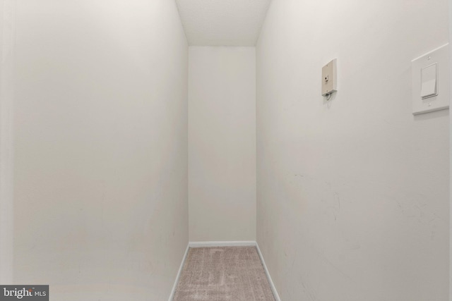 interior space with carpet and baseboards