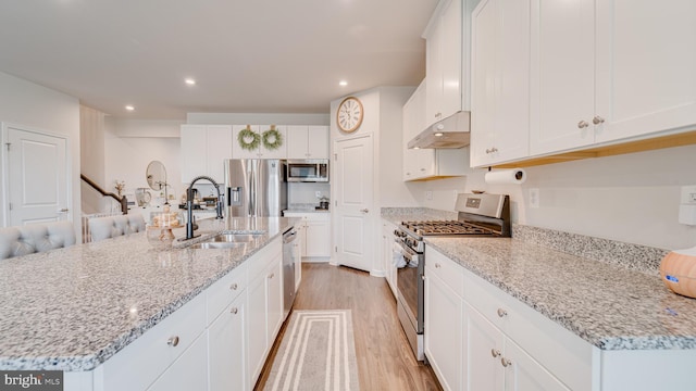 kitchen featuring recessed lighting, under cabinet range hood, a sink, light wood-style floors, and appliances with stainless steel finishes