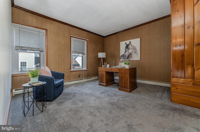 23 Swan St, Lambertville, NJ 08530 - home office featuring plenty of natural light, ornamental molding, and a baseboard radiator