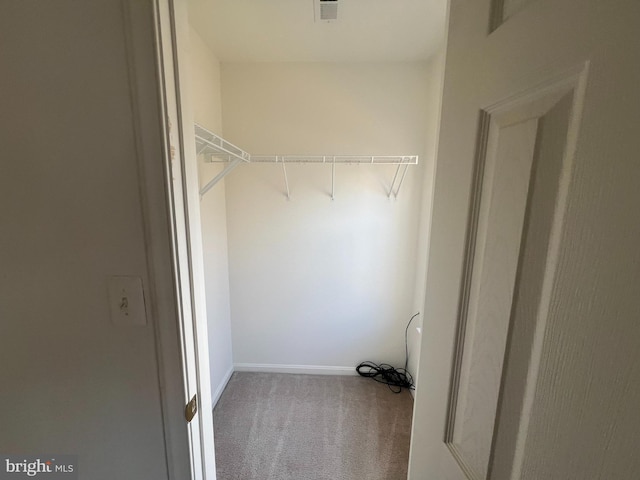 spacious closet with carpet flooring and visible vents