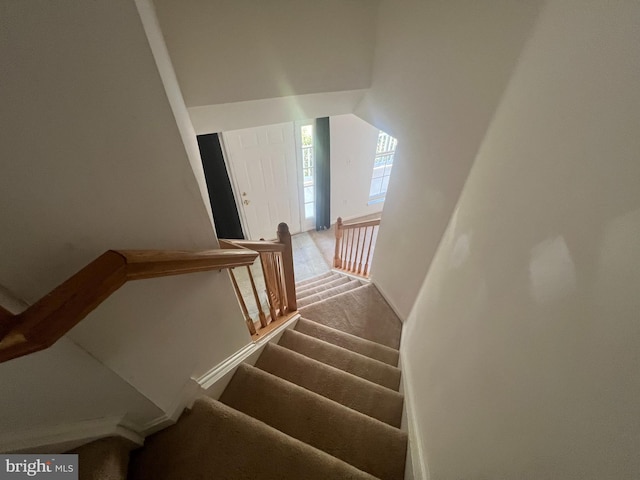 stairway with carpet flooring