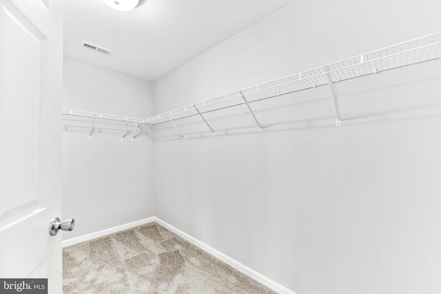 walk in closet with carpet and visible vents