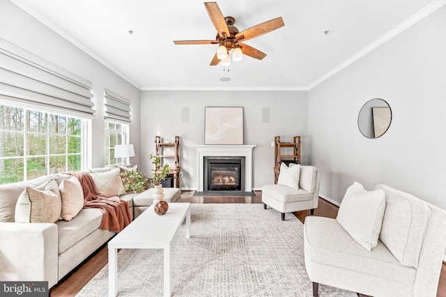 living area featuring a ceiling fan, ornamental molding, wood finished floors, and a glass covered fireplace