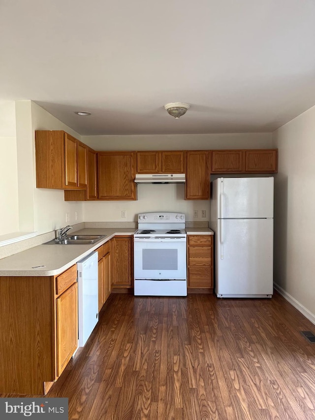 kitchen with dark wood finished floors, brown cabinetry, a sink, white appliances, and under cabinet range hood