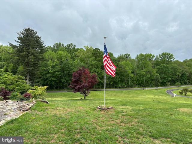 view of property's community with a lawn and a wooded view