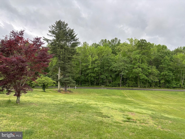 view of yard featuring a view of trees