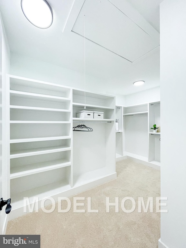 spacious closet with carpet floors and attic access