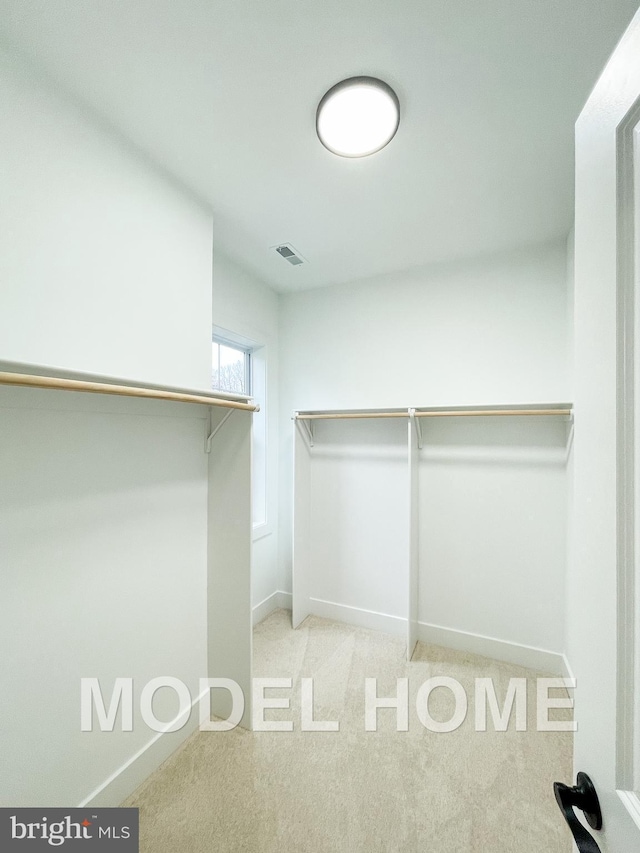 spacious closet featuring carpet floors and visible vents