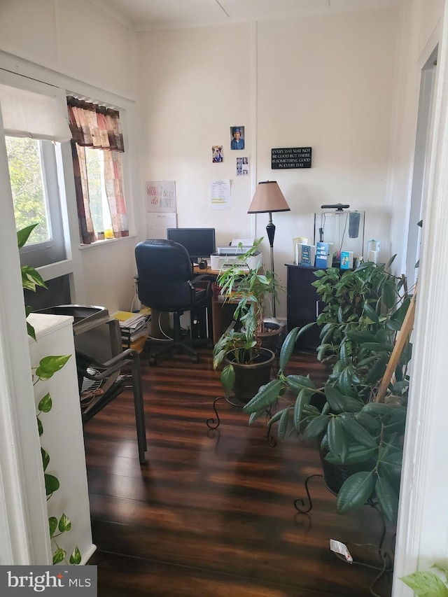 office area with wood finished floors