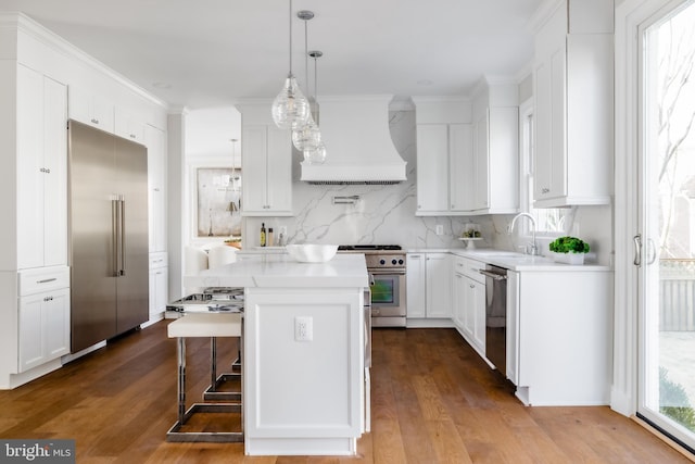 kitchen featuring custom range hood, premium appliances, a kitchen island, dark wood finished floors, and light countertops