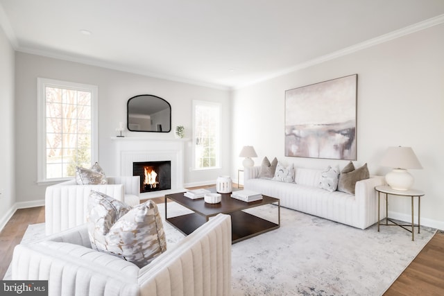 living area with a wealth of natural light, ornamental molding, and wood finished floors