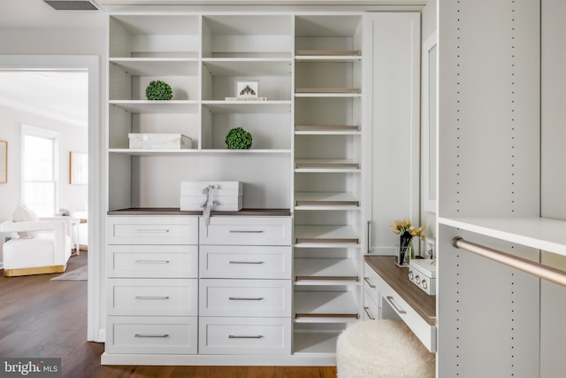 closet with visible vents