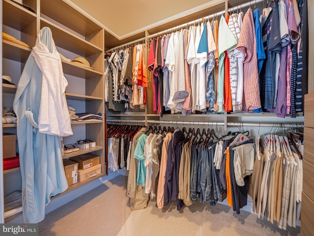 walk in closet featuring carpet flooring