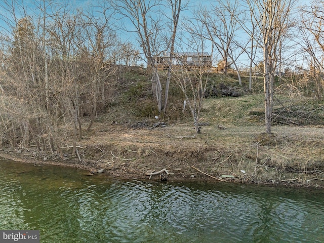 view of water feature