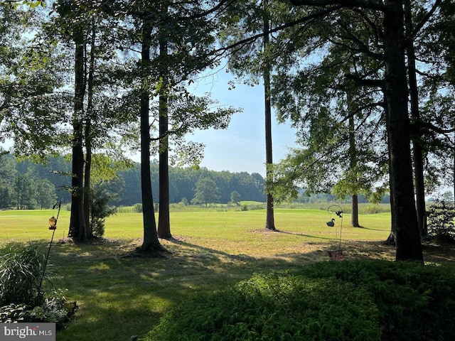 view of community with a yard