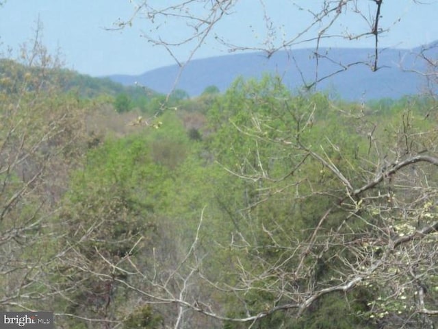 view of mountain feature