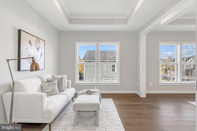 living area with a raised ceiling, baseboards, and wood finished floors