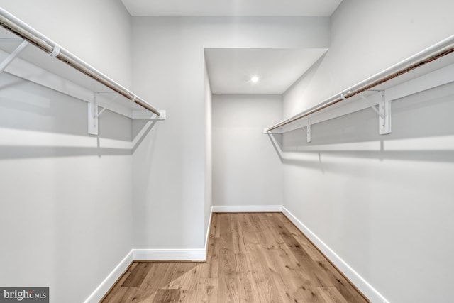 walk in closet featuring wood finished floors