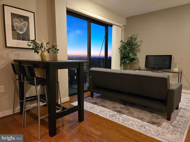 living area featuring baseboards and wood finished floors