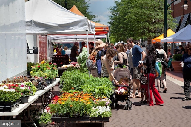 view of property's community featuring a vegetable garden