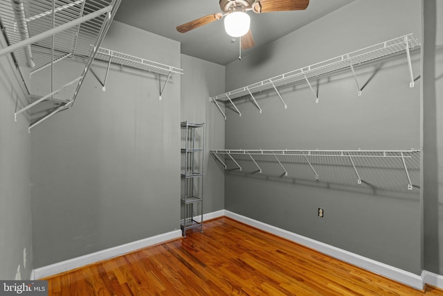 spacious closet featuring a ceiling fan and wood finished floors