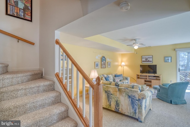 staircase featuring carpet flooring and a ceiling fan