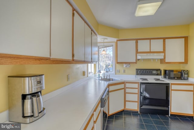 kitchen with black microwave, under cabinet range hood, dishwashing machine, electric stove, and a sink