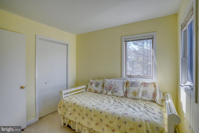 bedroom with a closet and light carpet