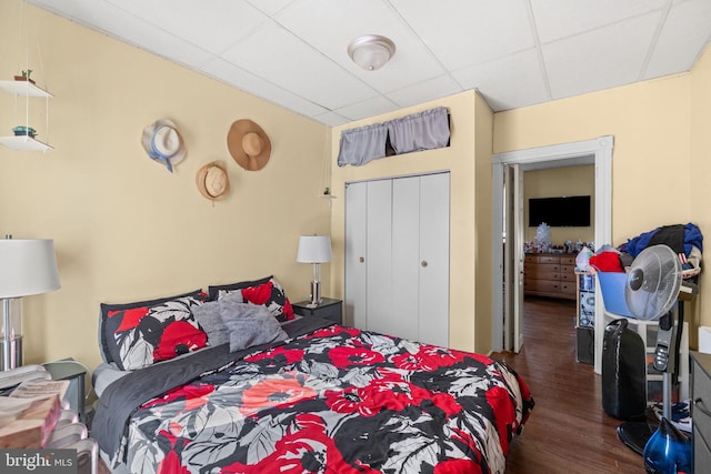 bedroom with a closet, a drop ceiling, and wood finished floors