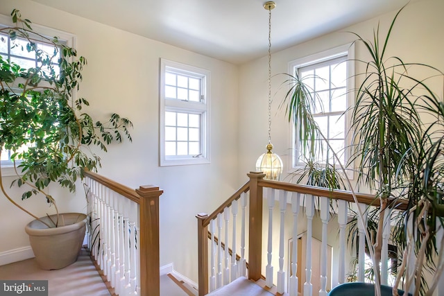 staircase with baseboards