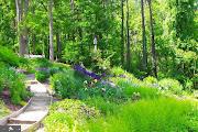 view of community with a garden