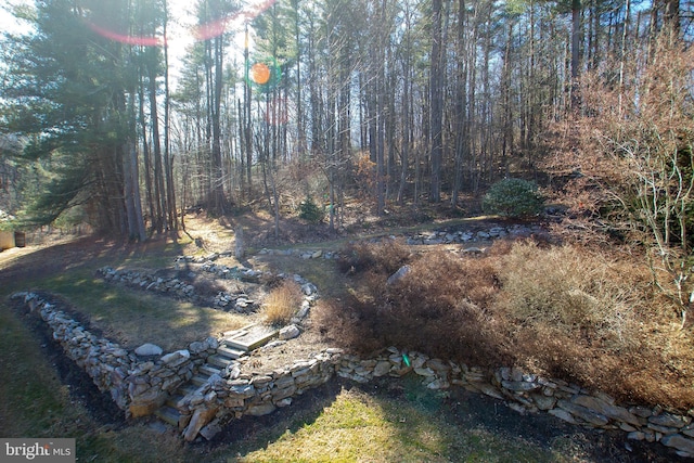 view of yard with a wooded view