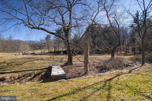 view of yard