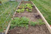 view of yard featuring a vegetable garden