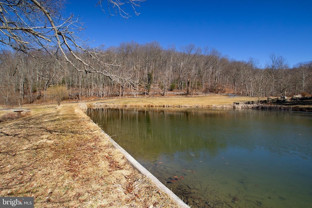 property view of water with a forest view