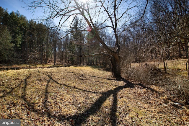 view of local wilderness featuring a wooded view