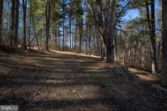 view of nature with a forest view