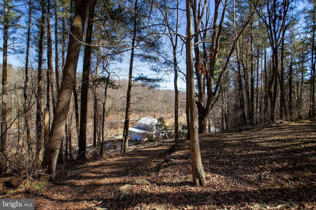 exterior space featuring a forest view