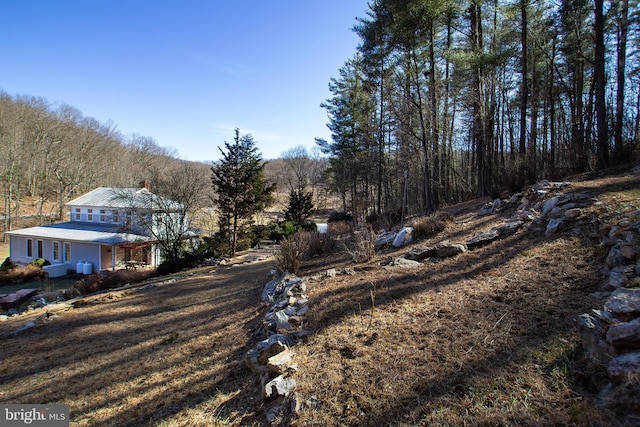 view of yard with a wooded view