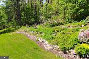 view of yard featuring a garden