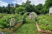 view of yard with a vegetable garden