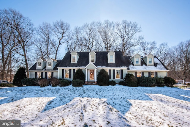 view of cape cod house