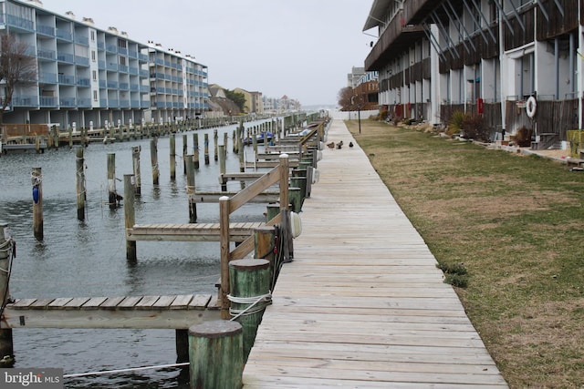 dock area with a water view