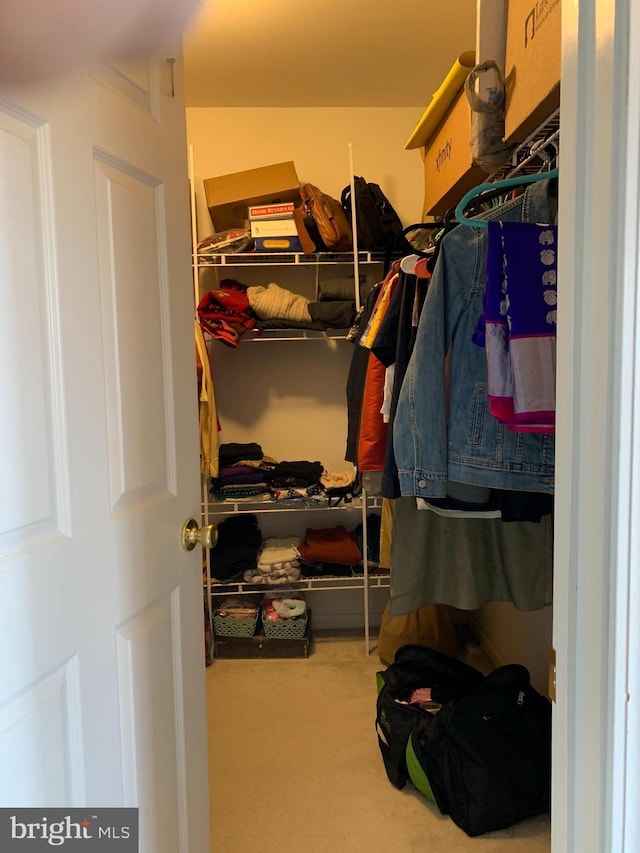 walk in closet featuring carpet