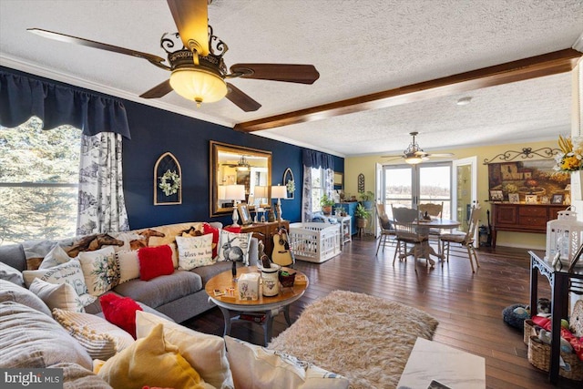 living room featuring beam ceiling, ornamental molding, ceiling fan, a textured ceiling, and hardwood / wood-style floors