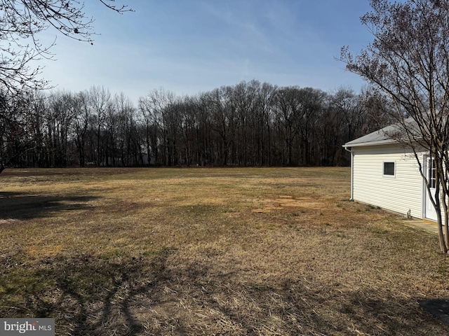 view of yard featuring a view of trees