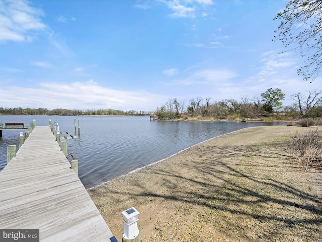 dock area featuring a water view